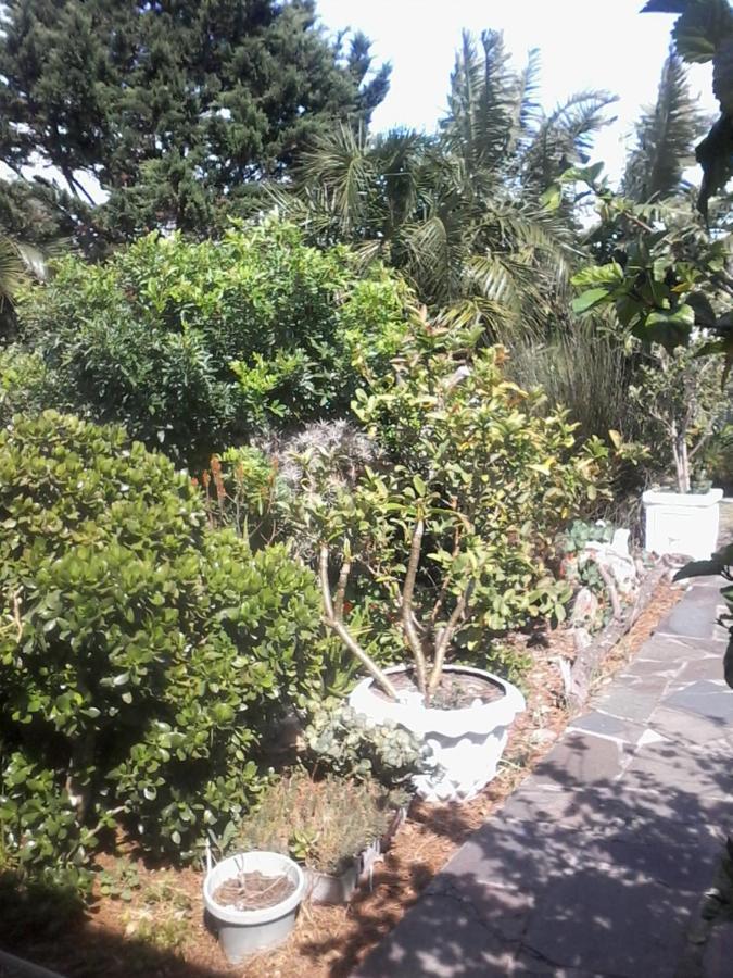 Self Catering Unit 7, Sandbaai Херманус Экстерьер фото